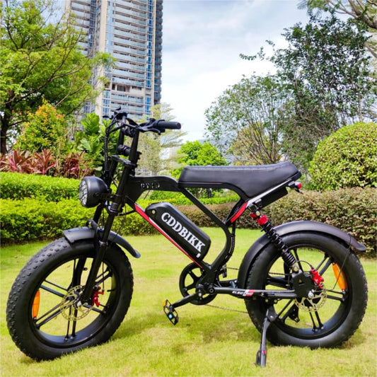 E-Bike elettrica GT20 1000W 17,5Ah con pneumatici fat – 20" a pedalata assistita, alte prestazioni